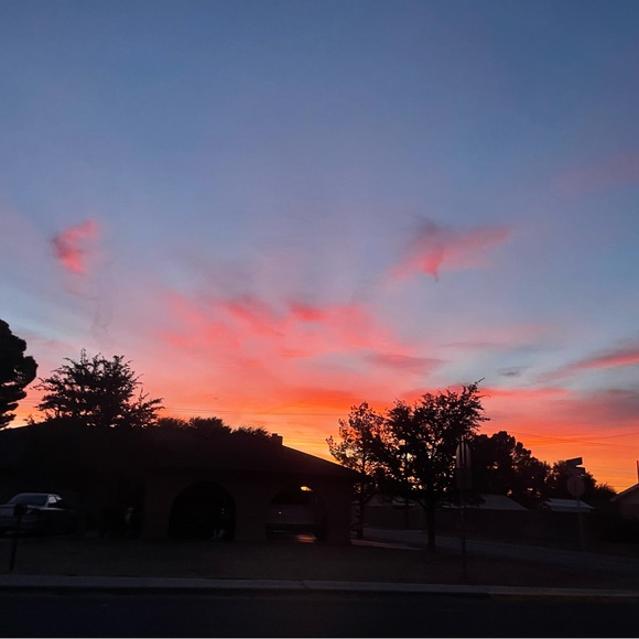 danielle_3976